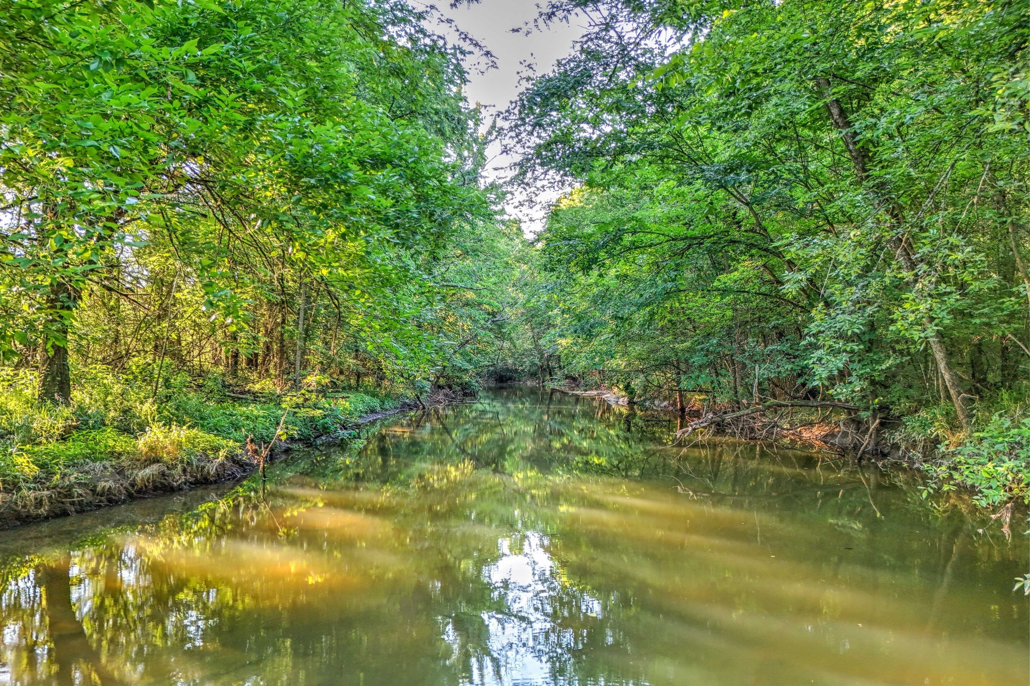 500 Old Pencil Mill Road Unionville, TN 37180 - Photo 6 of 51 Gallery Image 6
