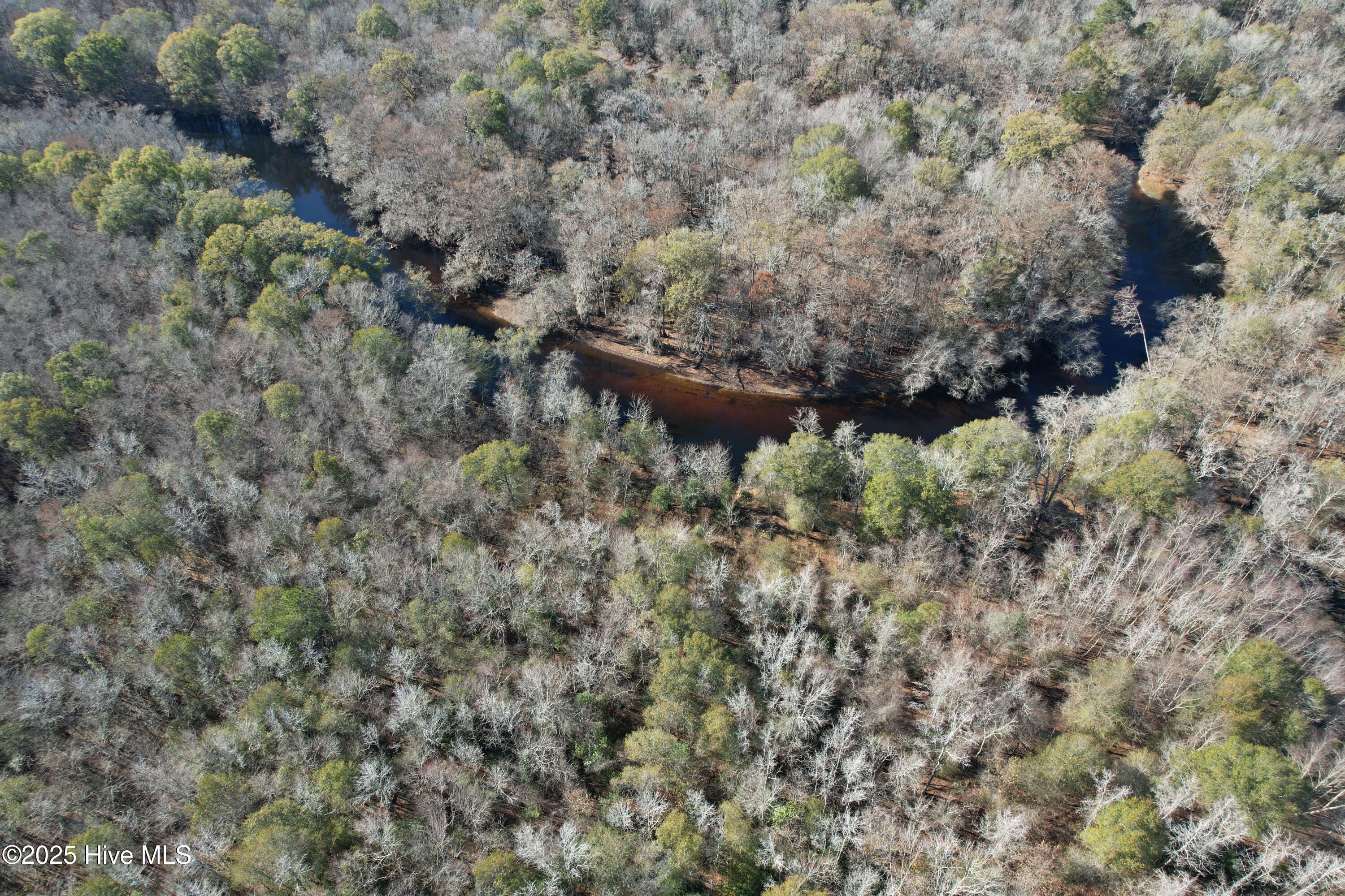 0 Macedonia Church Road Evergreen, NC 28438 - Photo 12 of 34 Image 12