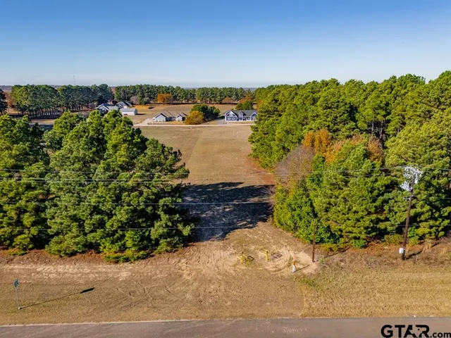 a view of a pathway with a ocean view