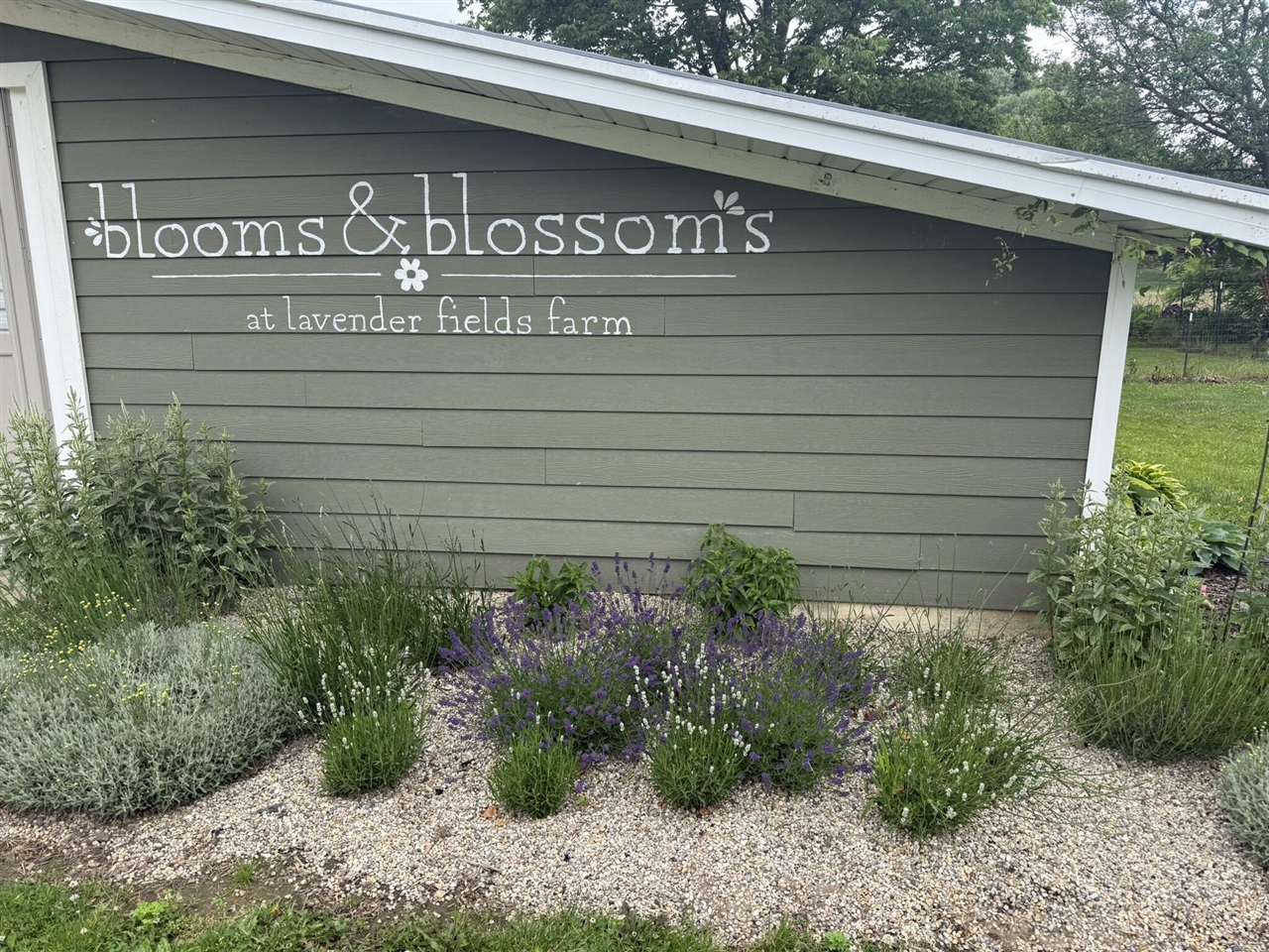 2175 East Hinchman Road Berrien Springs, MI 49103 - Photo 24 of 62