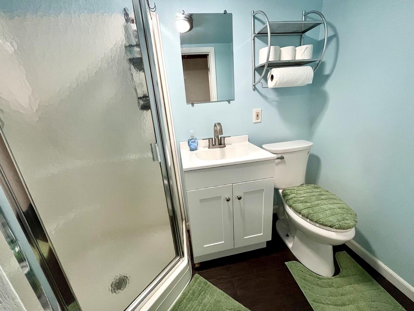 4172 South 52nd Street Milwaukee, WI 53220 - Photo 17 of 20 Lower bathroom