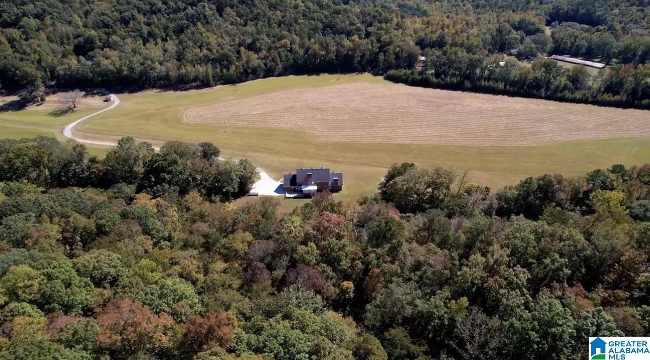 934 Fred Walker Road Oneonta, AL 35121 - Photo 74 of 78