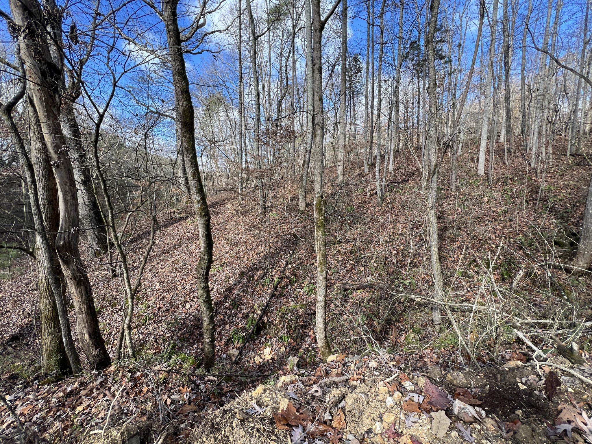 0 Smyrna Road Evensville, TN 37332 - Photo 3 of 3
