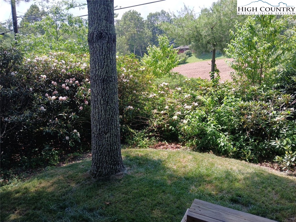 a view of outdoor space and garden