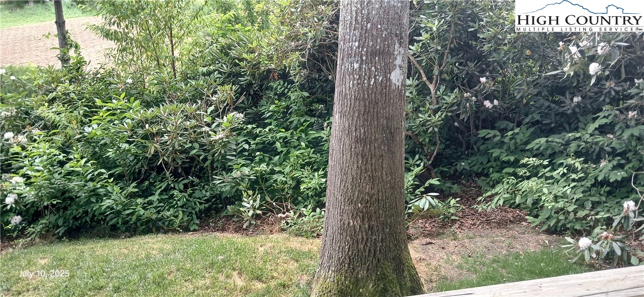 158 Trillium Road Newland, NC 28657 - Photo 6 of 12 a view of a yard with a tree