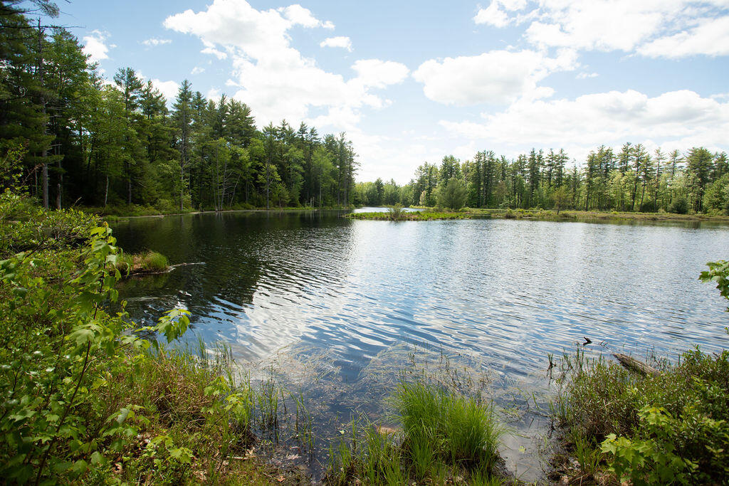 Tbd Johnny Lane, Unit LOT 1 Berwick, ME 03901 - Photo 1 of 12 Woodland Pond Estates, Lot 1