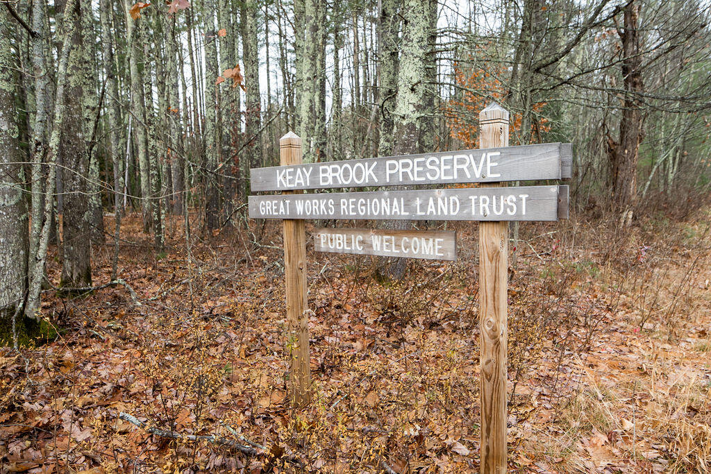 Tbd Johnny Lane, Unit LOT 1 Berwick, ME 03901 - Photo 12 of 12 Woodland Pond Estates, Lot 1