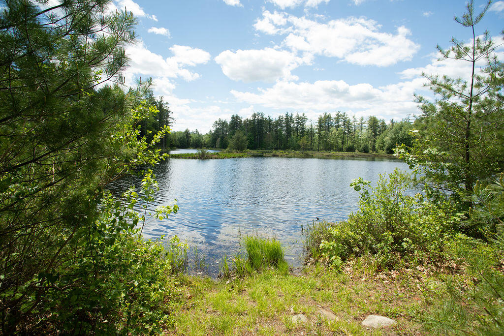 Tbd Johnny Lane, Unit LOT 1 Berwick, ME 03901 - Photo 9 of 12 Woodland Pond Estates, Lot 1