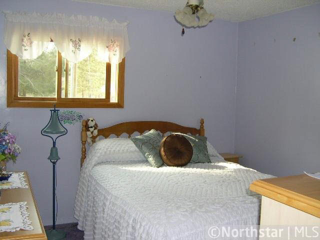 63058 Loon Avenue Jacobson, MN 55752 - Photo 13 of 15