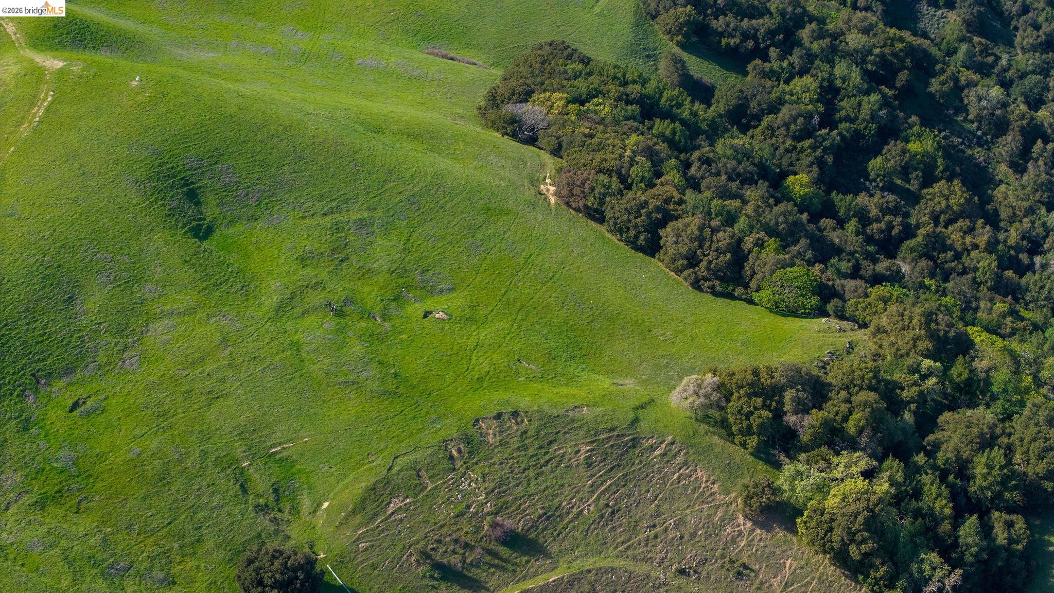 0 Santos Ranch Road Pleasanton, CA 94588 - Photo 11 of 18 a view of a garden