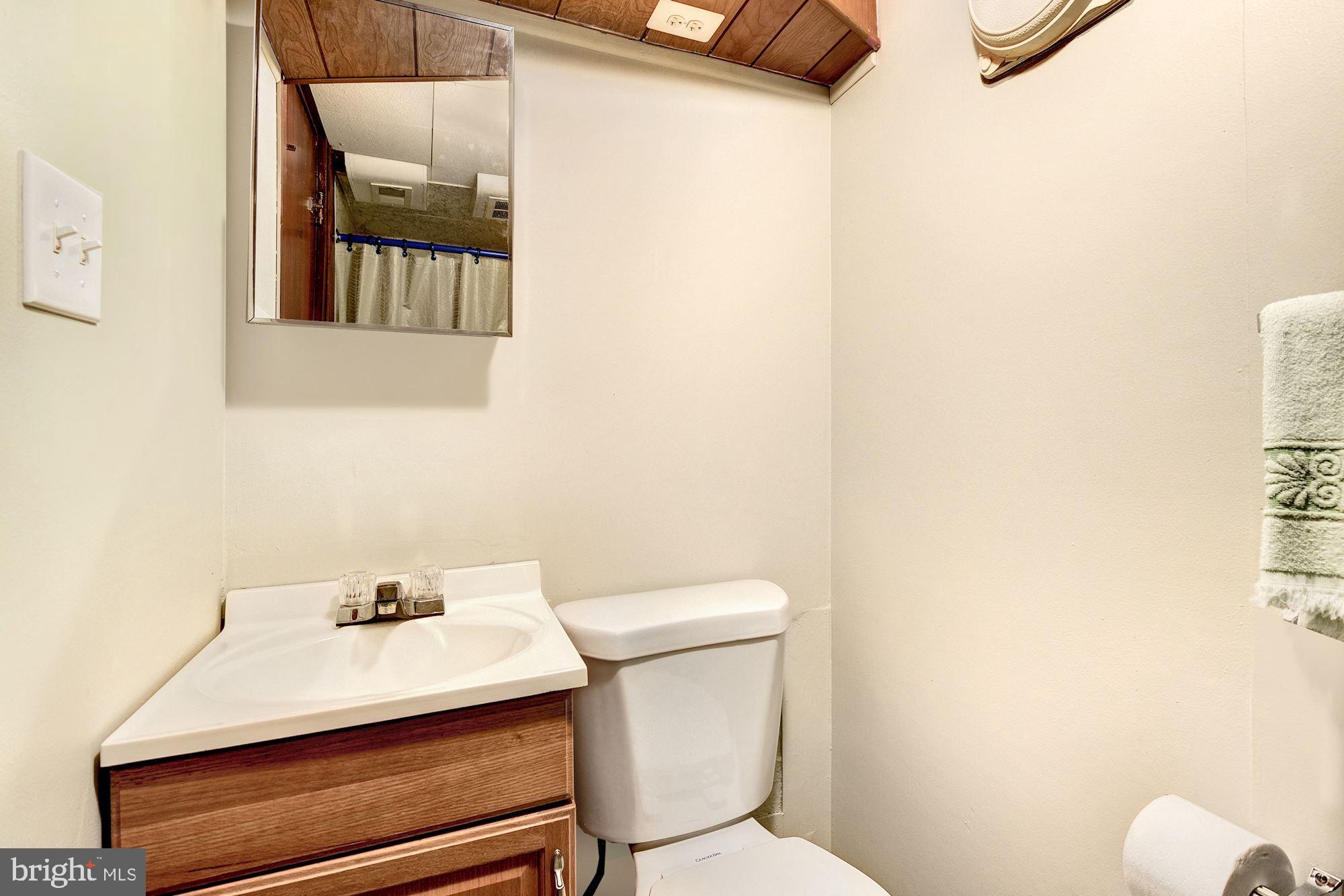 4426 Hallet Street Rockville, MD 20853 - Photo 22 of 30 Lower Level Full Bathroom