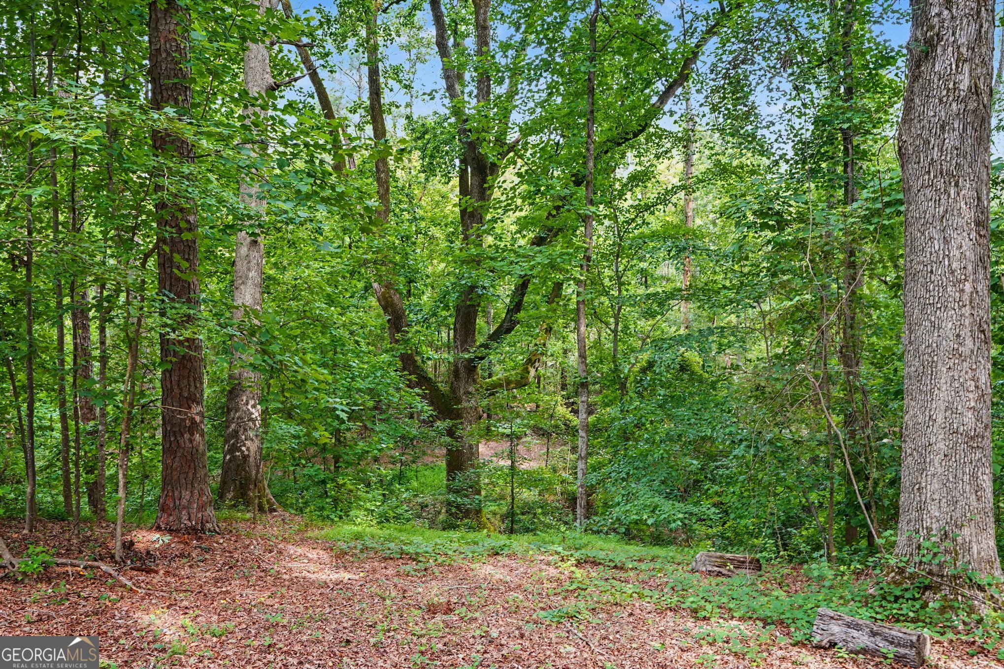 351 Teamon Road Griffin, GA 30223 - Photo 50 of 61