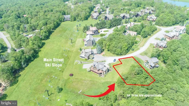 an aerial view of a swimming pool