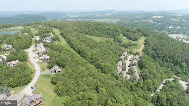 an aerial view of residential houses with outdoor space and trees
