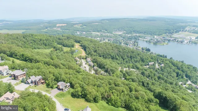 a view of a yard with plants