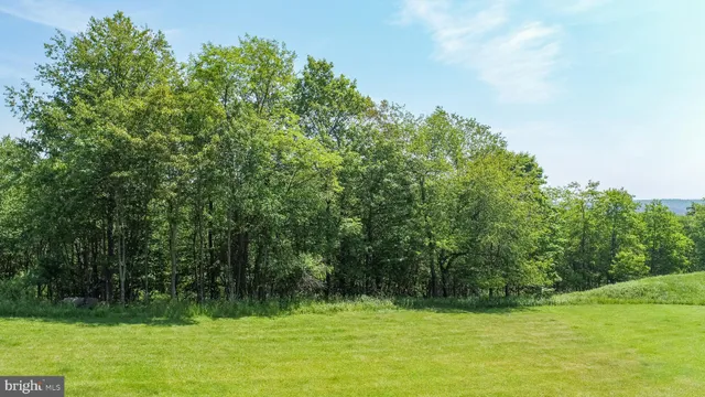 a view of a grassy field with trees