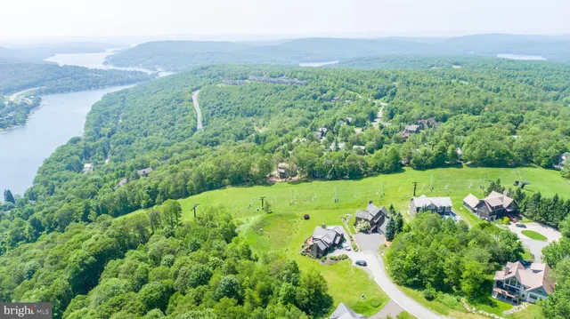 a view of a garden with a lake