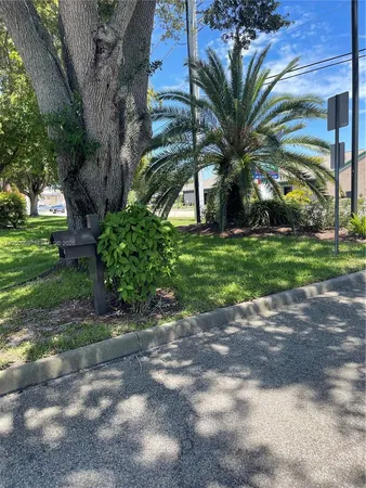a view of a yard with plants and trees