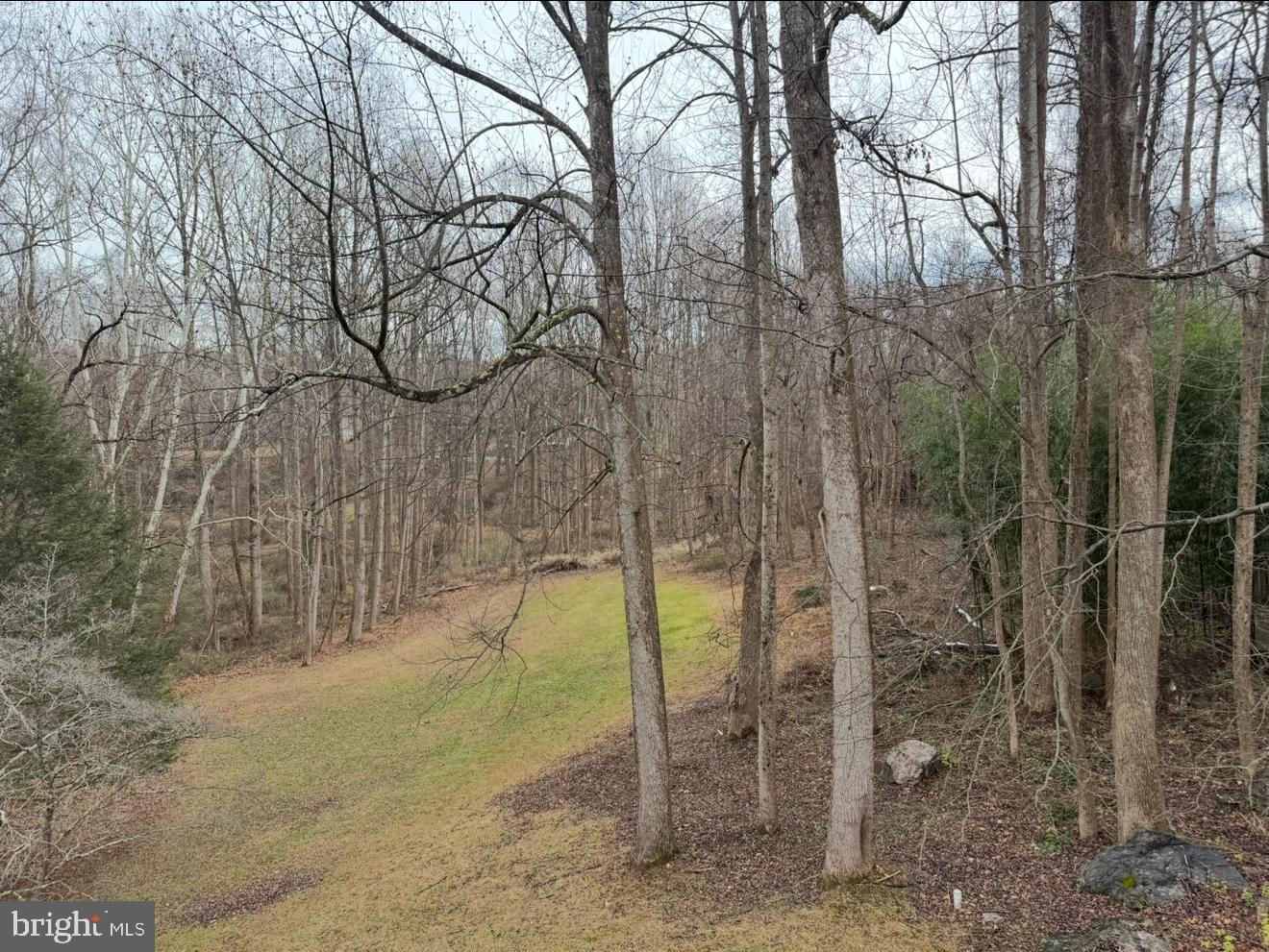 1130 Bellview Road McLean, VA 22102 - Photo 5 of 6 Serene woodland retreat in winter's embrace.