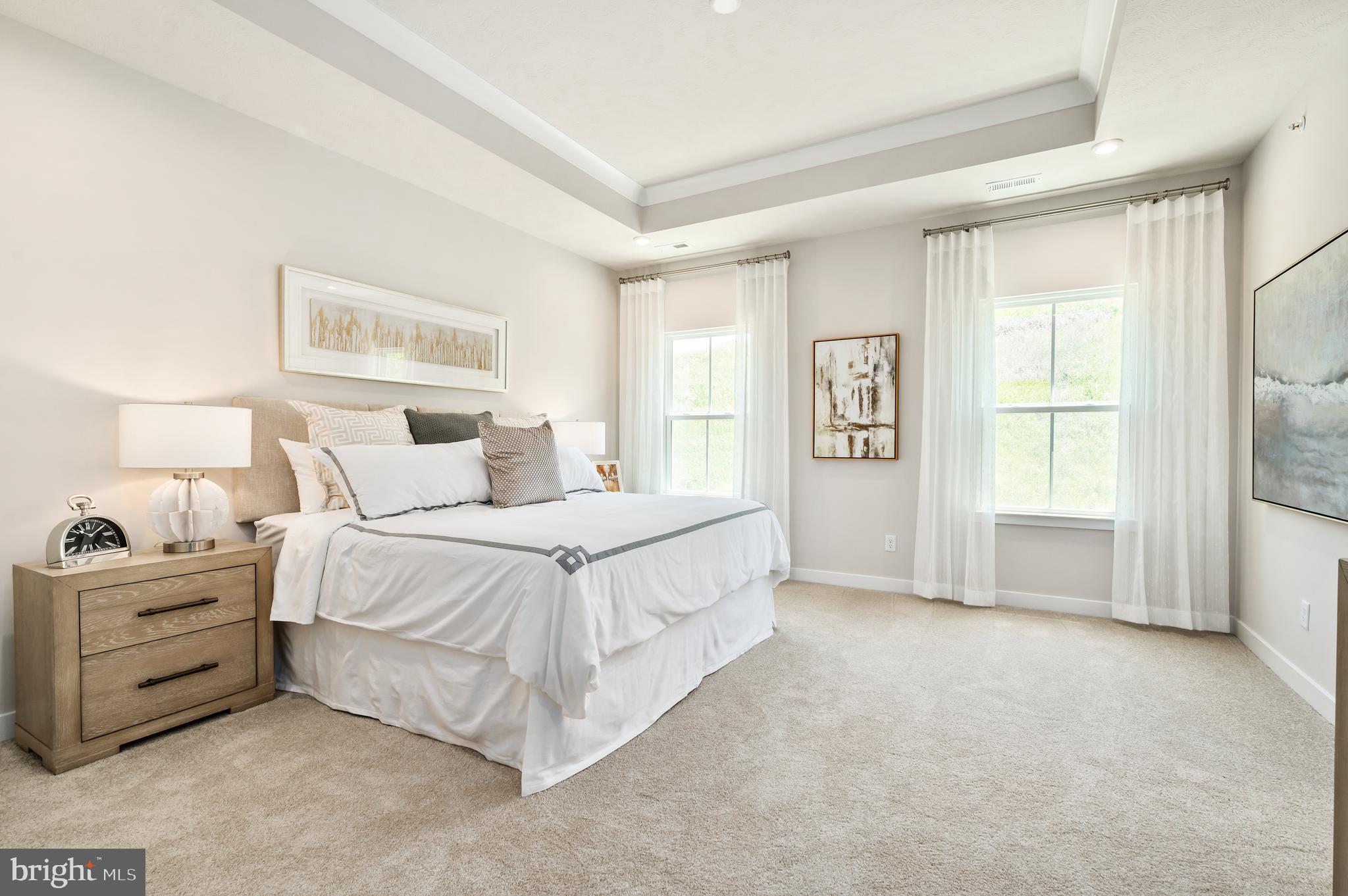 8548 Branch Side Way, Unit 2207B Brandywine, MD 20613 - Photo 11 of 21 PRIMARY BEDROOM W/TRAY CEILING