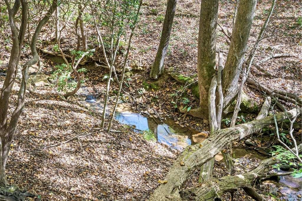 217 Goldmine Road Morganton, GA 30560 - Photo 42 of 51