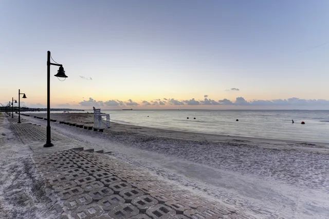 a view of a dry yard with wooden fence