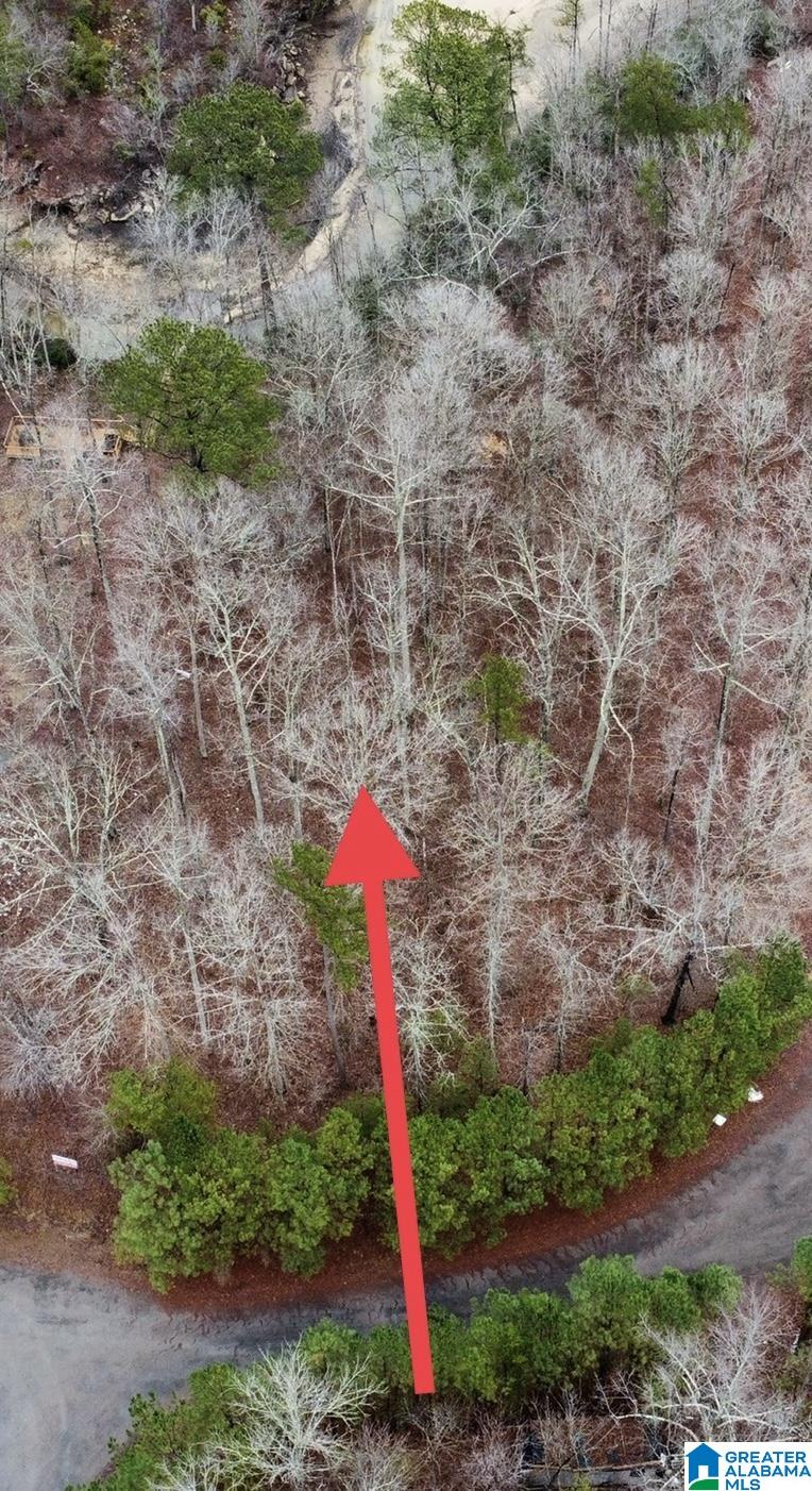 Lot 5 Little Dismal Road, Unit 5 Arley, AL 35541 - Photo 9 of 12