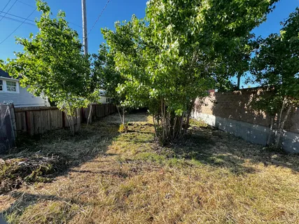 a backyard of a house with lots of green space