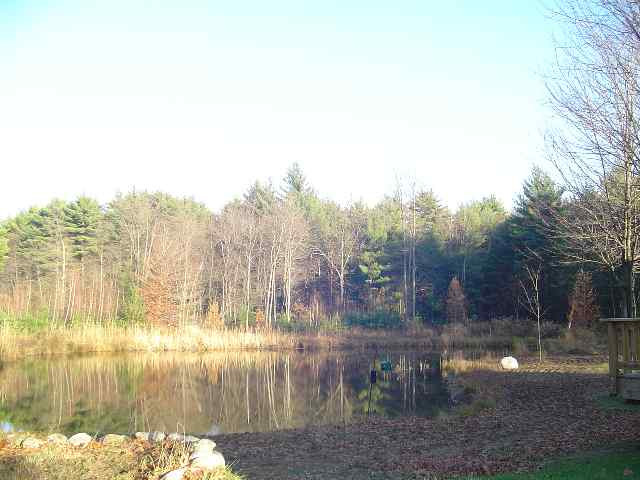 261 Edie Road Saratoga Springs, NY 12866 - Photo 10 of 11 Photo 10
