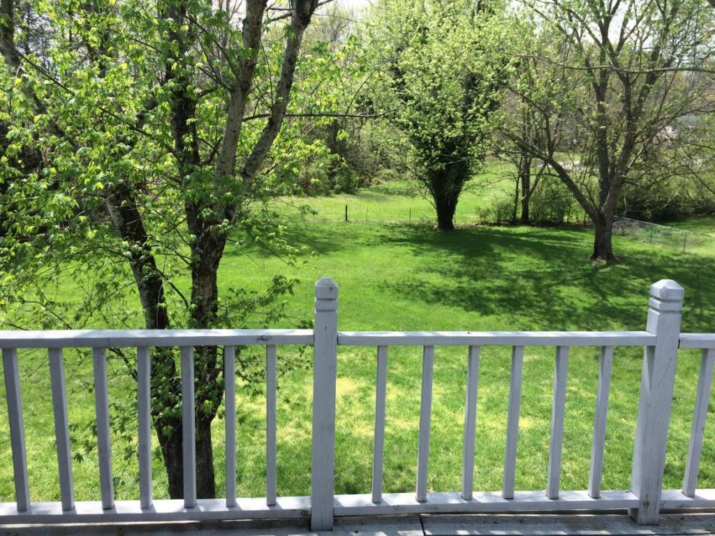 1198 Old Shiloh Road Greeneville, TN 37745 - Photo 18 of 21 Photo 18