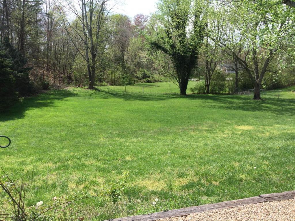 1198 Old Shiloh Road Greeneville, TN 37745 - Photo 3 of 21 Great Level Yard Area
