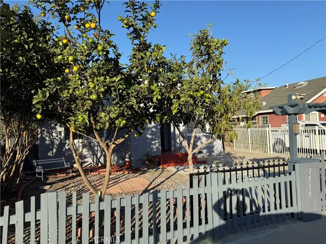 a view of a garden with lawn chairs