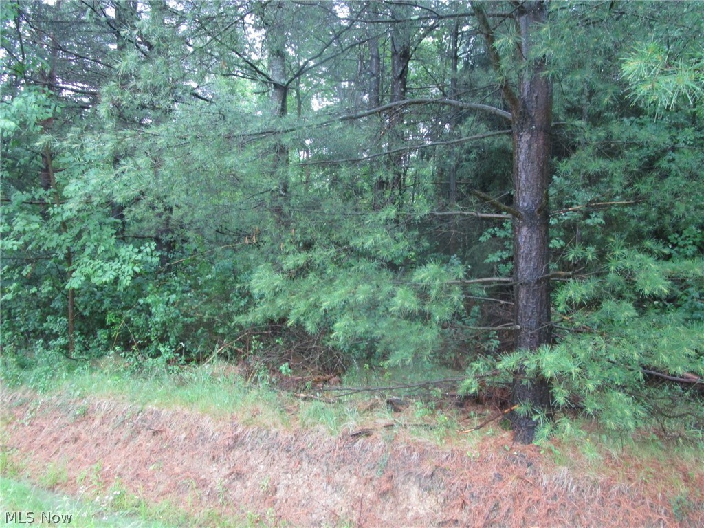 Vl Callender Road Rock Creek, OH 44084 - Photo 5 of 6
