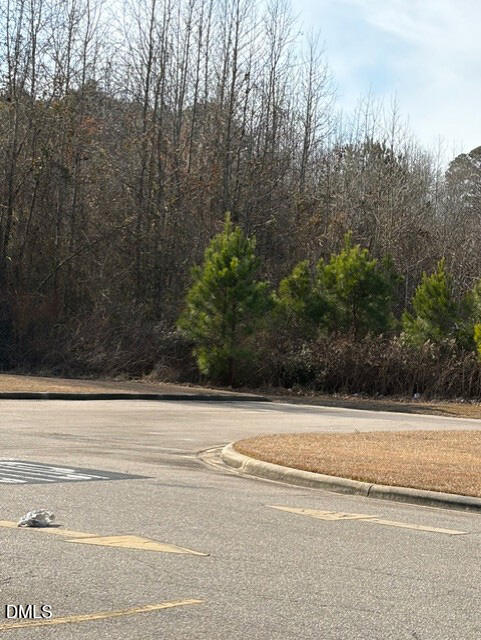 0 St Matthews Road Erwin, NC 28339 - Photo 3 of 5