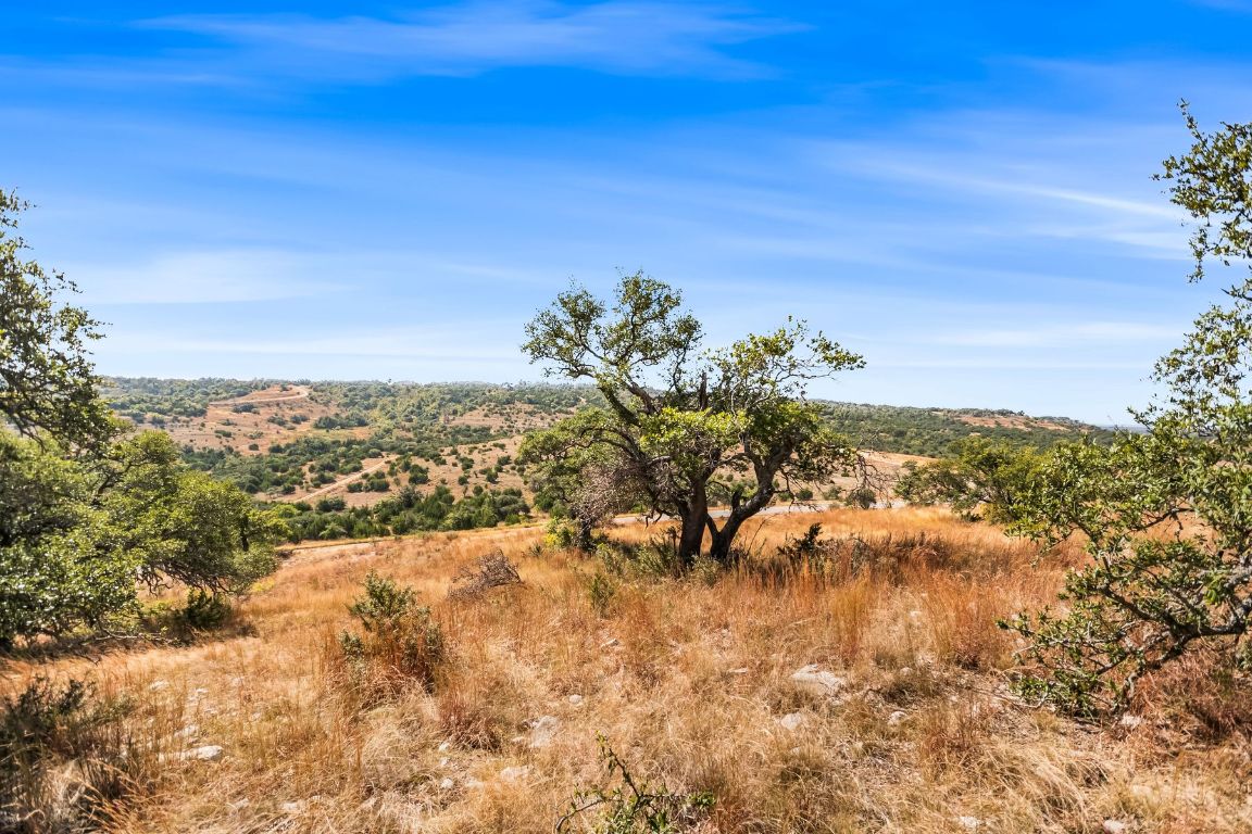 226 South Walnut Springs Road Johnson City, TX 78636 - Photo 11 of 26 a view of a yard with an ocean
