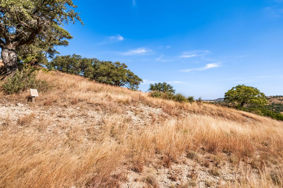 226 South Walnut Springs Road Johnson City, TX 78636 - Photo 16 of 26 a view of mountain view with trees