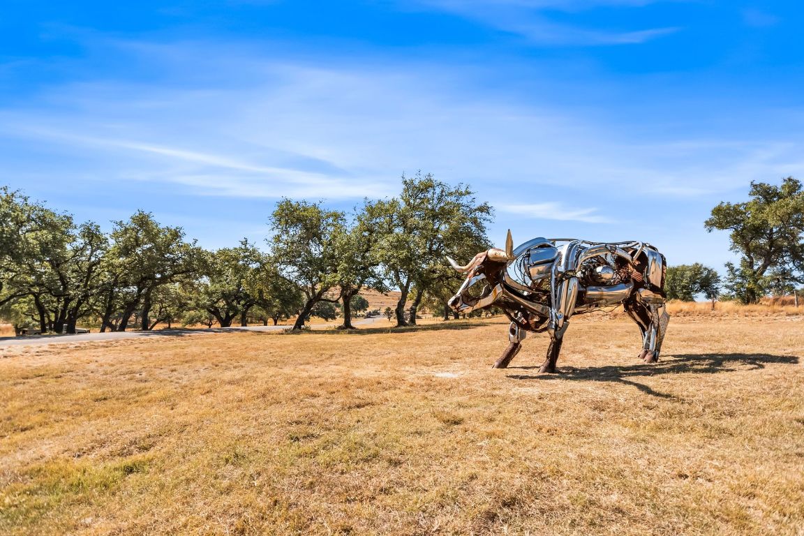 226 South Walnut Springs Road Johnson City, TX 78636 - Photo 20 of 26 a view of an outdoor space and yard