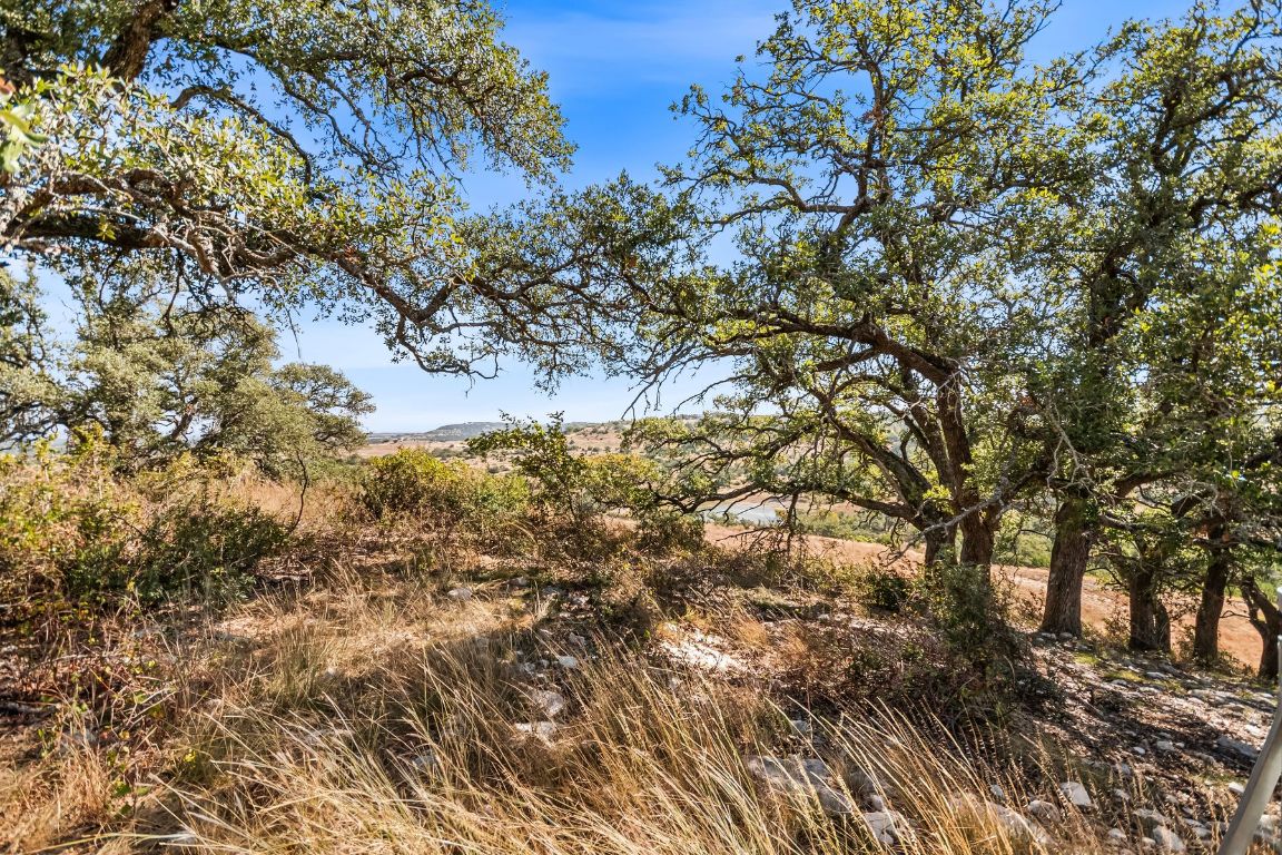 226 South Walnut Springs Road Johnson City, TX 78636 - Photo 10 of 26 a view of a tree