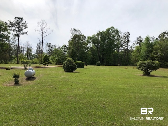 1598 Long Leaf Road Peterman, AL 36471 - Photo 4 of 34