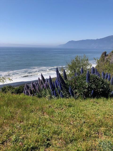0 Whale Point Whitethorn, CA 95589 - Photo 2 of 2 Whale Point pic 1