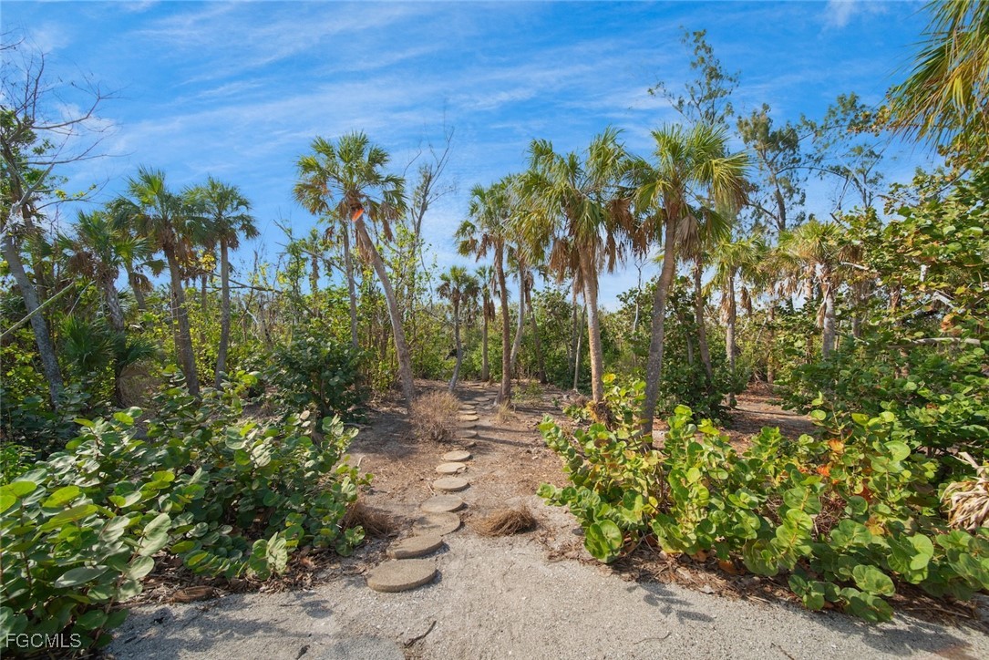 4639 Brainard Bayou Road Sanibel, FL 33957 - Photo 46 of 50 a view of a garden with a tree