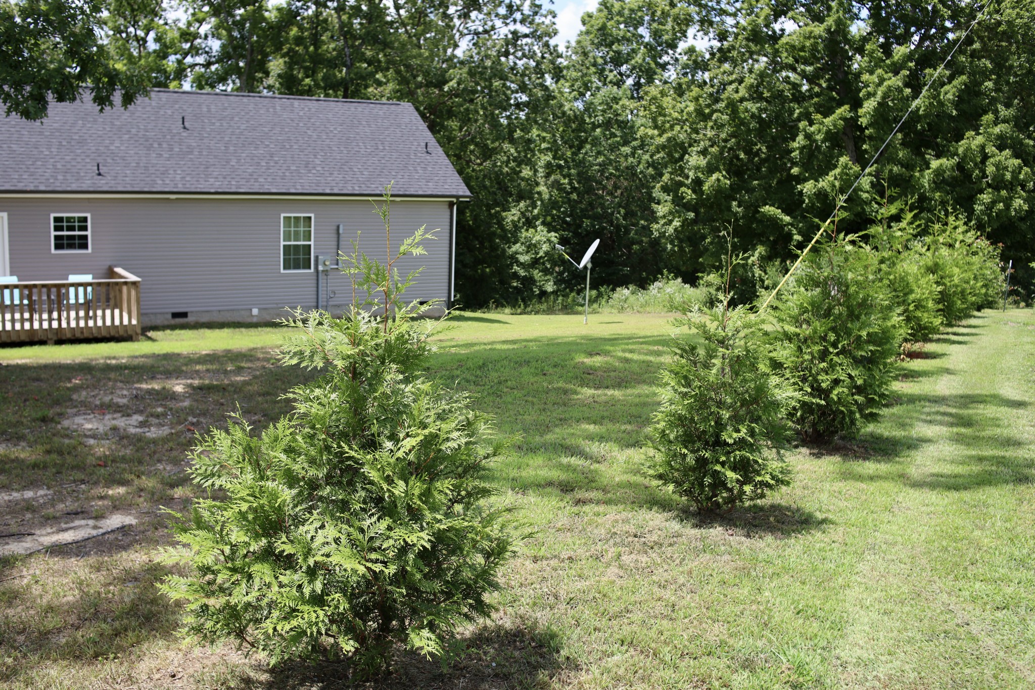 746 Nels Adams Road Dickson, TN 37055 - Photo 41 of 63