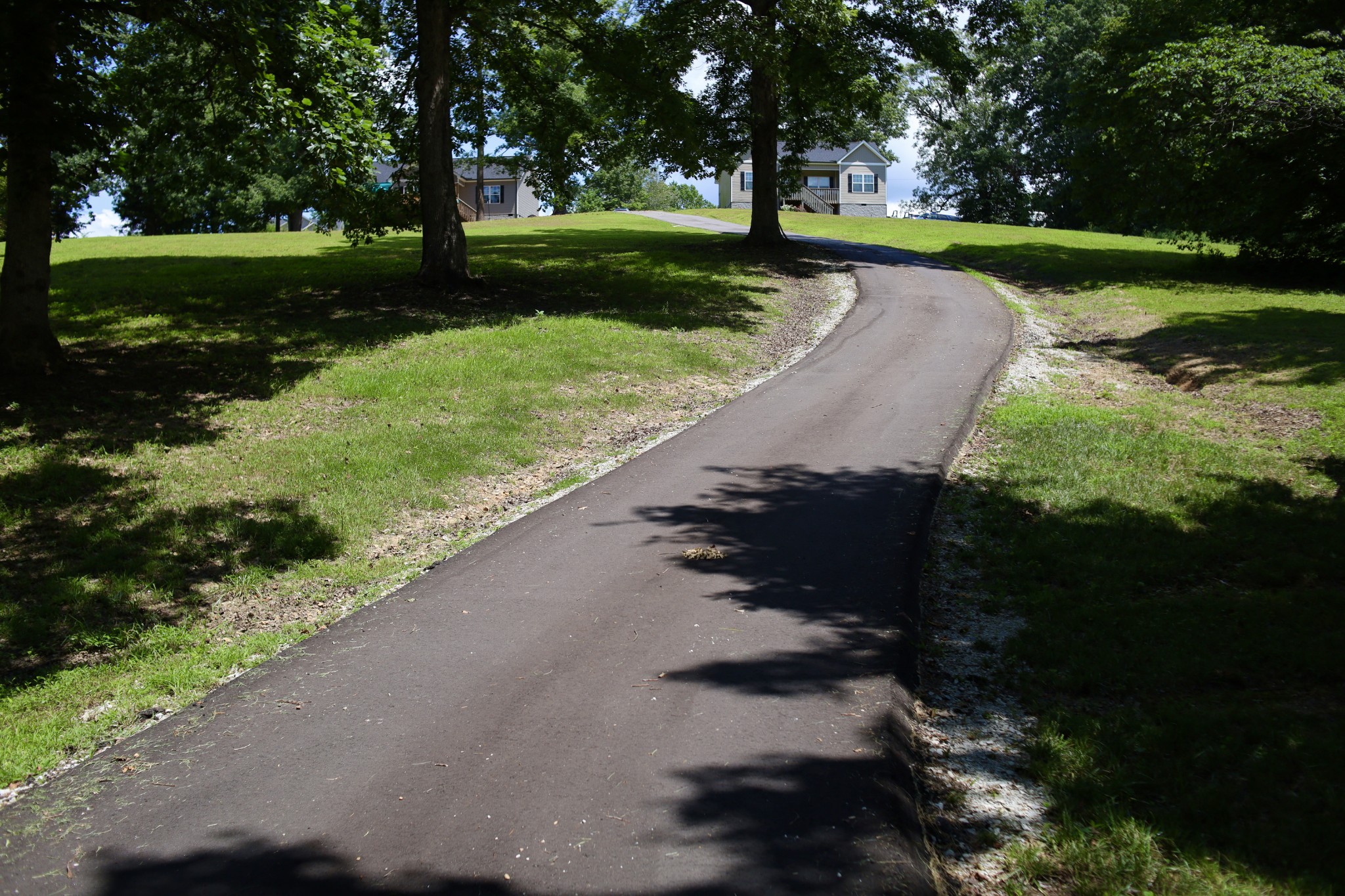 746 Nels Adams Road Dickson, TN 37055 - Photo 48 of 63 a view of a park with large trees