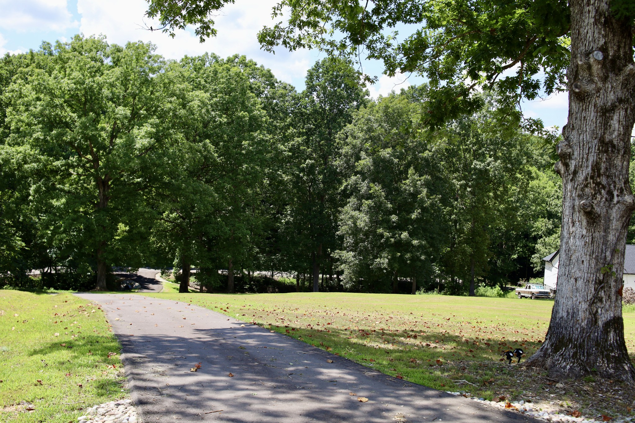 746 Nels Adams Road Dickson, TN 37055 - Photo 49 of 63 a view of swimming pool with trees