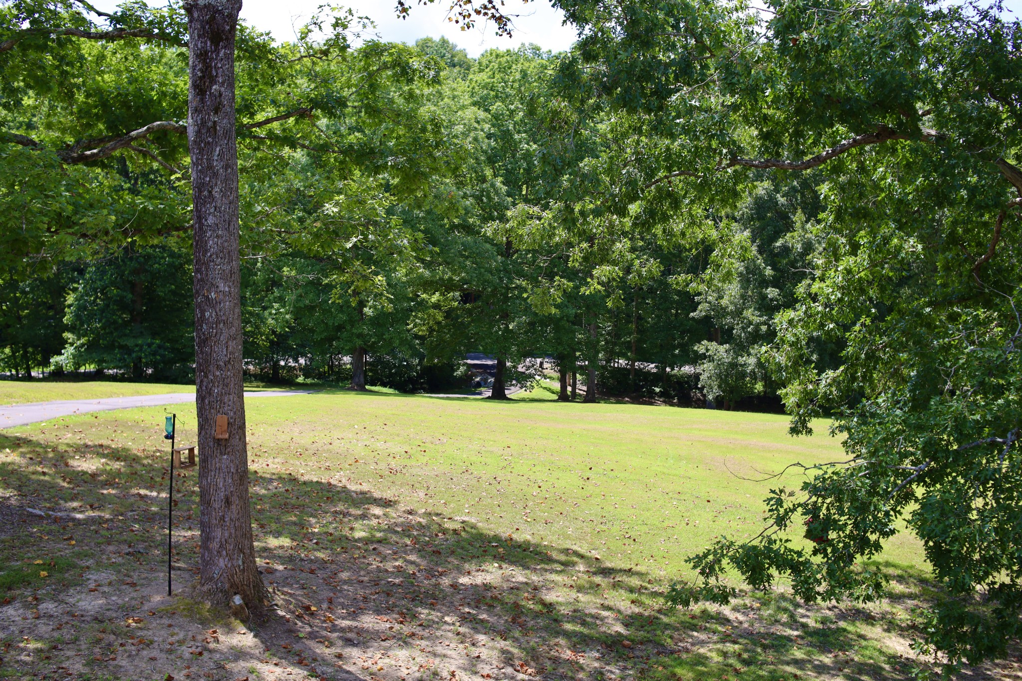 746 Nels Adams Road Dickson, TN 37055 - Photo 6 of 63 a view of a large yard with large trees