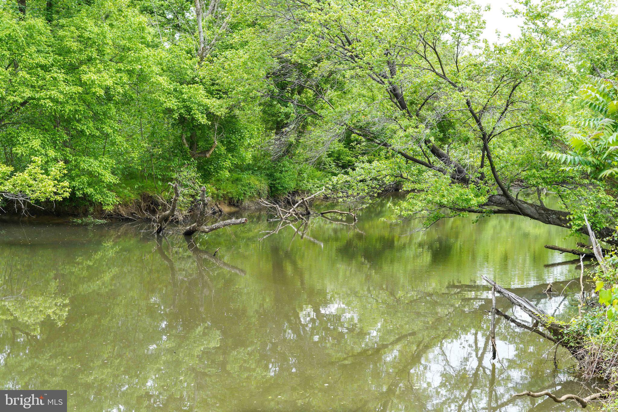 1114 John Paul Jones Drive Stafford, VA 22554 - Photo 59 of 74 a view of a lake view with a tree