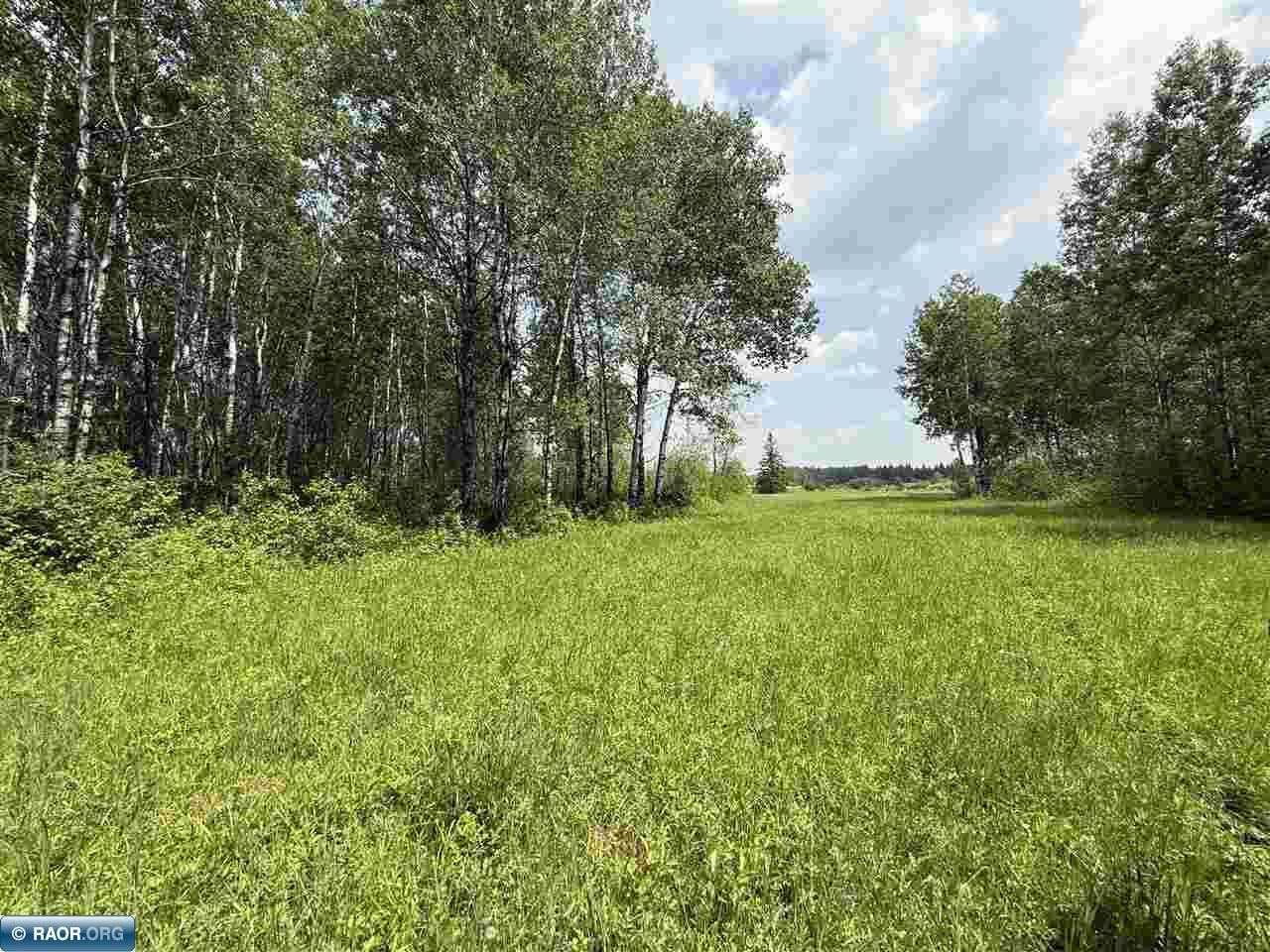 Tbd Tbd Samuelson Road-sec22 Angora, MN 55703 - Photo 40 of 43