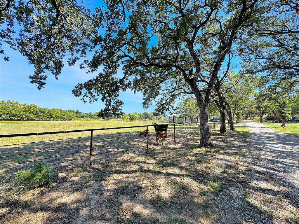 5167 Rockhill Road Aubrey, TX 76227 - Photo 22 of 29 a view of a yard with wooden fence