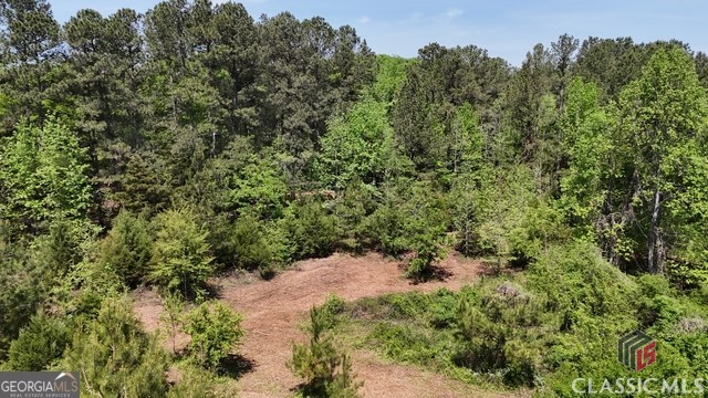0 Moore Road Elberton, GA 30635 - Photo 27 of 67