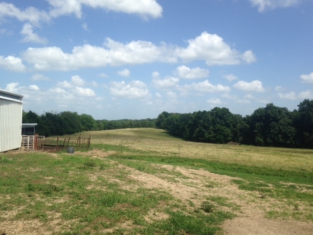 32165 Sassafras Road California, MO 65018 - Photo 41 of 42